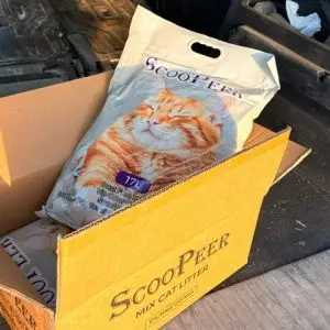 מבצע זוג חול מתגבש לחתול Scoopeer